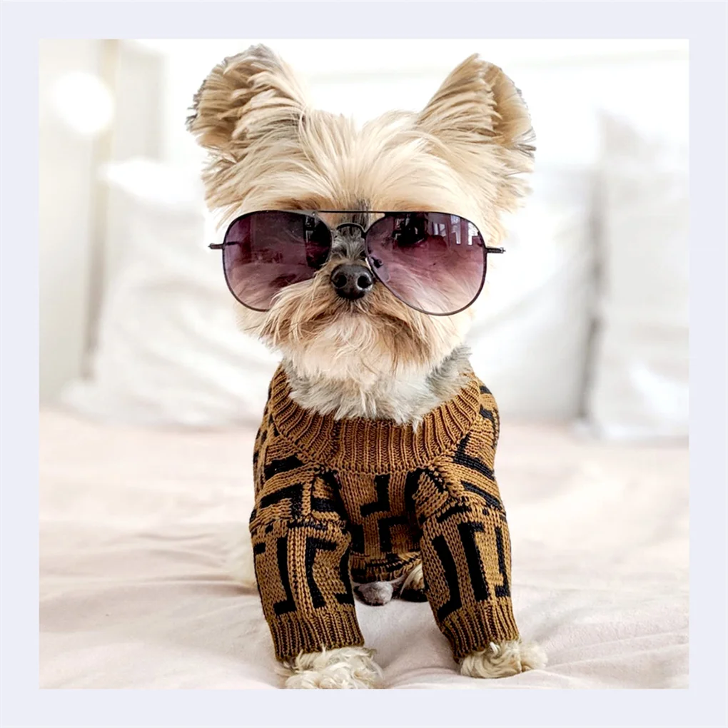 High Quality Fashionable Designer Luxury Classic Brand Pet Apparel Clothes Clothing knitted Cat Puppy Dog Sweater
High Quality Fashionable Designer Luxury Classic Brand Pet Apparel Clothes Clothing knitted Cat Puppy Dog Sweater