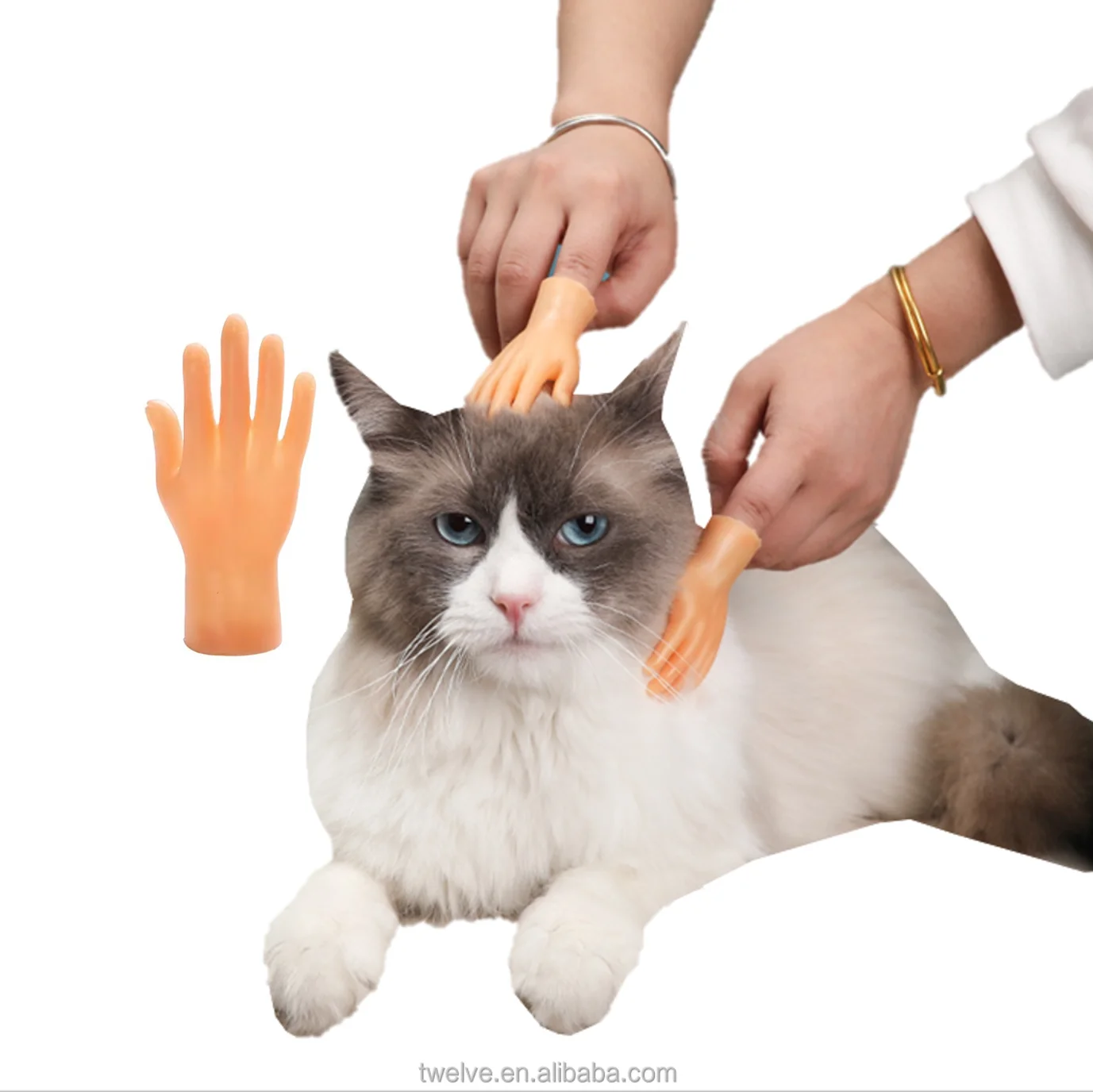 Mini hand shape eco-friendly new pet toy funny new pet toy anti-bite pet interact toy
Mini hand shape eco-friendly new pet toy funny new pet toy anti-bite pet interact toy