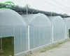/product-detail/modern-planting-industry-plastic-tunnel-greenhouse-agricultural-greenhouse-62348349672.html