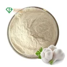 Antibacterial antiphlogistic effect allium sativum extract 25kg garlic powder feed grade garlic powder