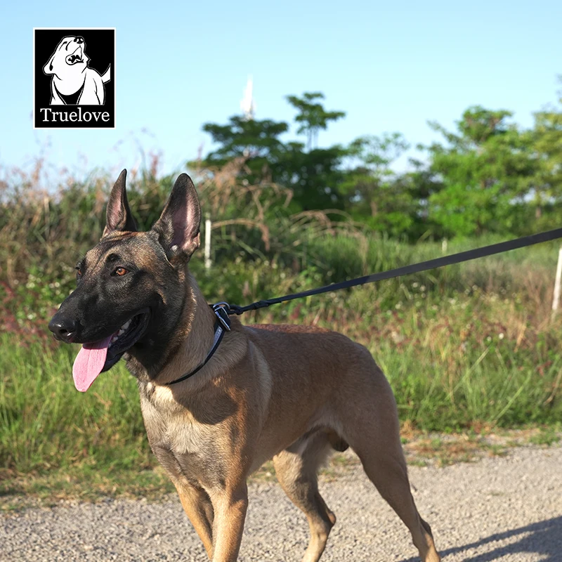 Truelove Pvc Dog Collar And Leash/pvc Dog Leash And Collar Set/wholesale Custom Pvc Dog Collar And Leash
Truelove Pvc Dog Collar And Leash/pvc Dog Leash And Collar Set/wholesale Custom Pvc Dog Collar And Leash