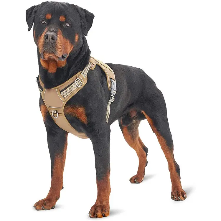 Reflective Mesh Breathable Dog Harness Body Belt Vest Pet Training Safety Backpack Leash for Small Medium Large dog, Custom color
Reflective Mesh Breathable Dog Harness Body Belt Vest Pet Training Safety Backpack Leash for Small Medium Large dog, Custom color
