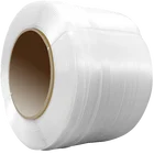Polypropylene and Polyester Plastic Packing Composite Strap