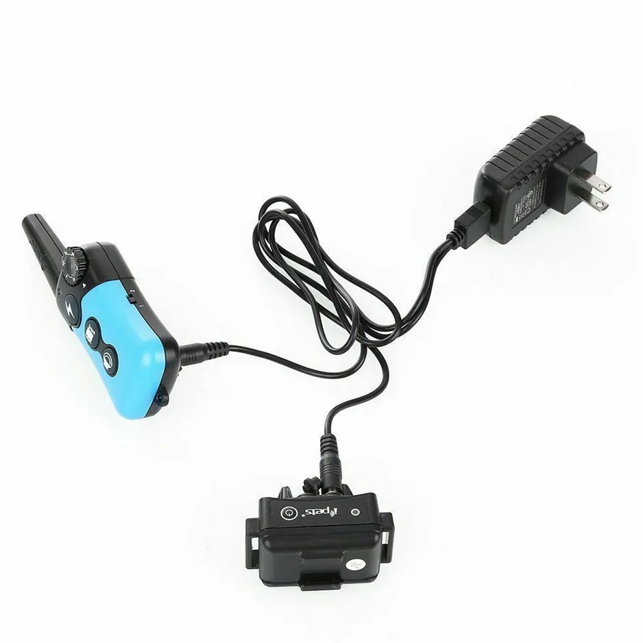 PET619---23.jpg