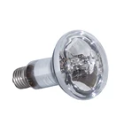 80W UVB Mercury Vapor Bulb Clear Reptile Heat Lamp For Lizard