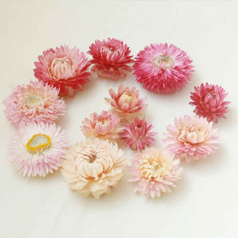 R504 Natural Dried Floral Wholesale Dried Flowers For Candles Resin Dry Flowers Natural
R504 Natural Dried Floral Wholesale Dried Flowers For Candles Resin Dry Flowers Natural