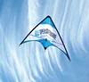 Advertising stunt kite double line athletic kite