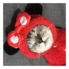 Funny small cat kitten Pet Winter Clothes hoodie Overcoat holiday decor cosplay