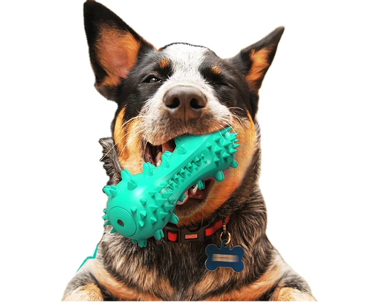 Dog Toothbrush Stick Wholesale Dog Toothbrush Indestructible Durable Toothbrush Dog Toy
Dog Toothbrush Stick Wholesale Dog Toothbrush Indestructible Durable Toothbrush Dog Toy
