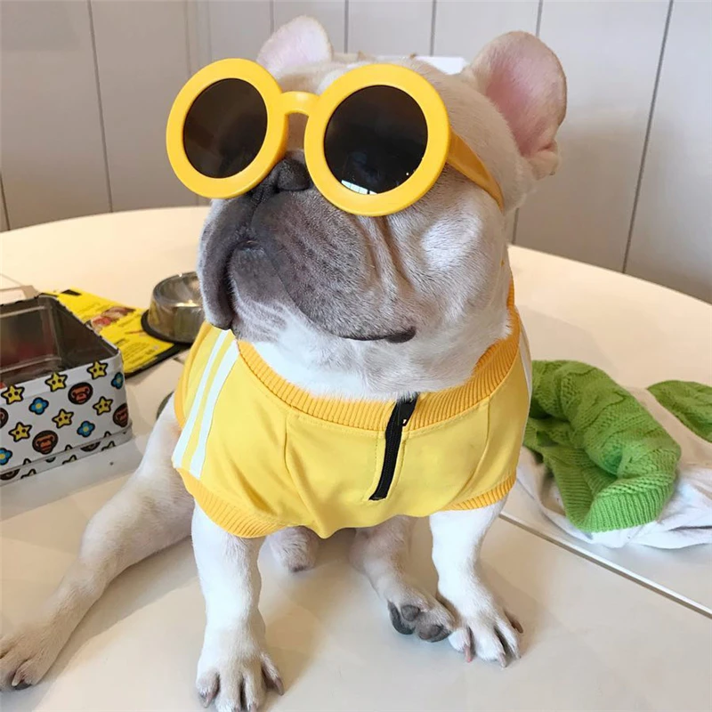 Pet Dog Two Feet Clothes Spring and Autumn Stripe Design Dog T-Shirt Clothes 5 Color
Pet Dog Two Feet Clothes Spring and Autumn Stripe Design Dog T-Shirt Clothes 5 Color