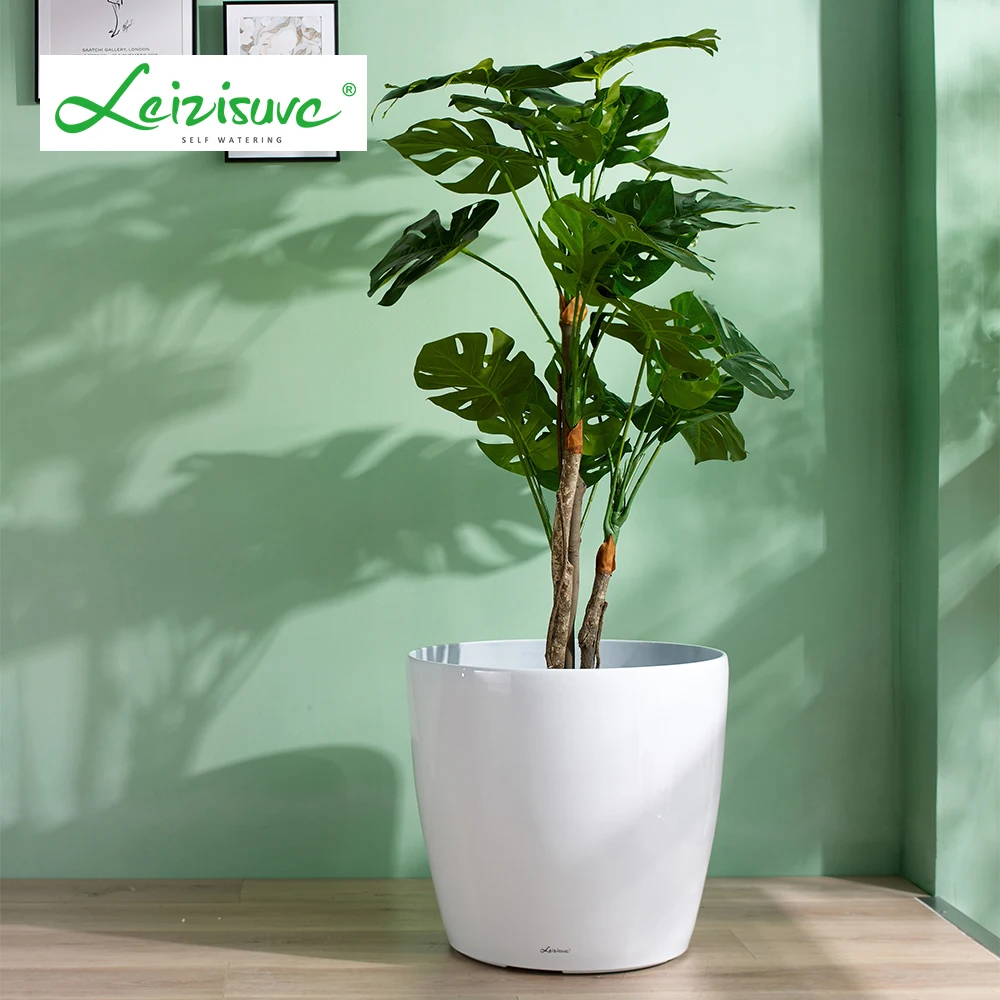 High quality macetas plastico bonsai plastic pot best flowerpot, As picture or customized
High quality macetas plastico bonsai plastic pot best flowerpot, As picture or customized