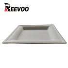 BIO Disposable Plate Sugar Bagasse Product Dish