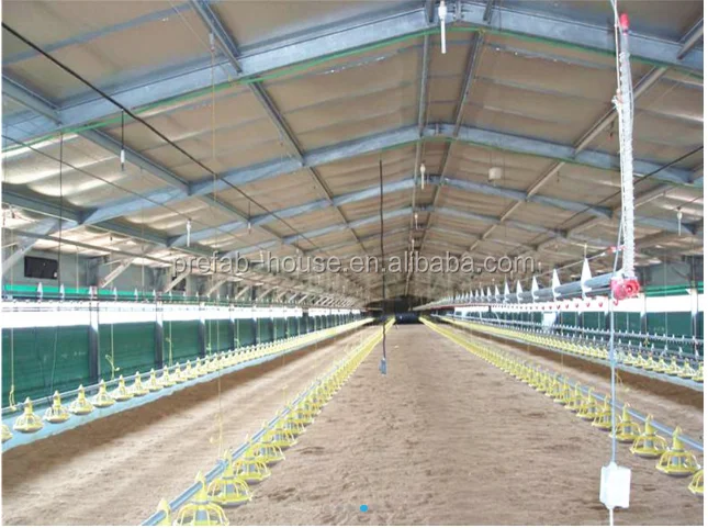 Agriculture Installation Prefab Light Steel Frame Chicken Poultry House