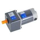 25mm 12v DC Electric Motor (Rear Axle with Ratio 1:100)