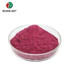 Natural health raw material purple red beetroot extract powder