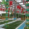 /product-detail/intelligent-control-plastic-film-greenhouse-with-growing-system-62405251417.html