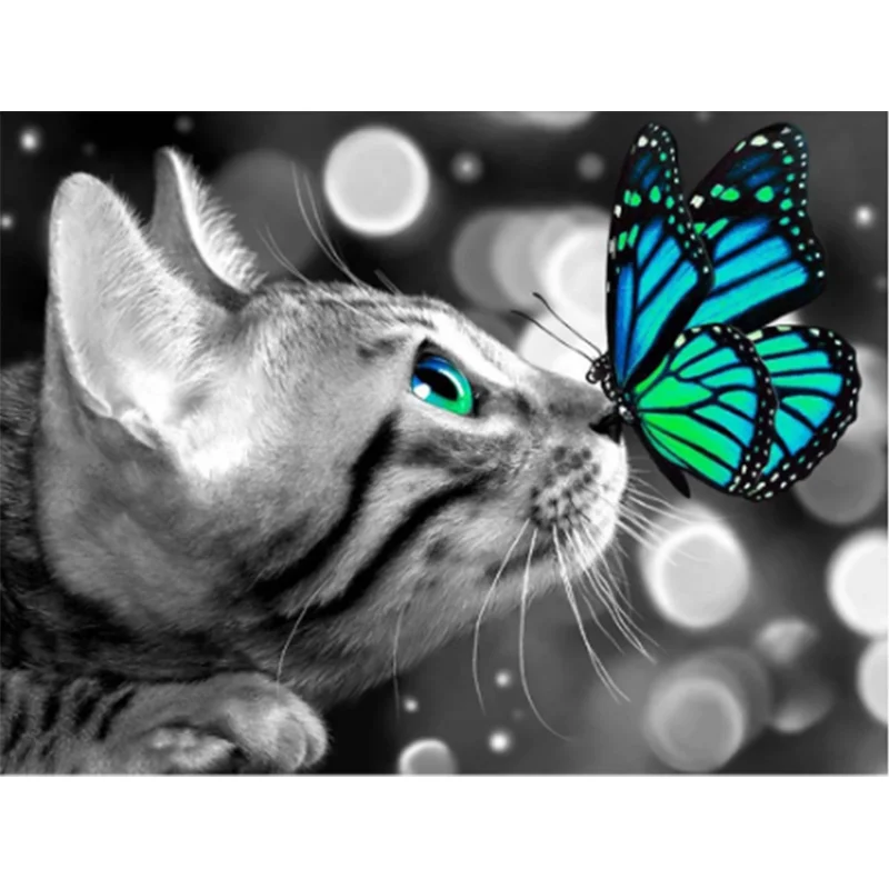 Good Price Huacan 5d Diamond Art Painting Kits Cat Wholesale Diamond Mosaic Full Butterfly Modern Fashion
Good Price Huacan 5d Diamond Art Painting Kits Cat Wholesale Diamond Mosaic Full Butterfly Modern Fashion