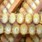 Natural Life Fresh Royal Jelly Natural Life 500g Fresh Royal Jelly
