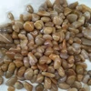 yellow color river polished wholesale pebbles stone