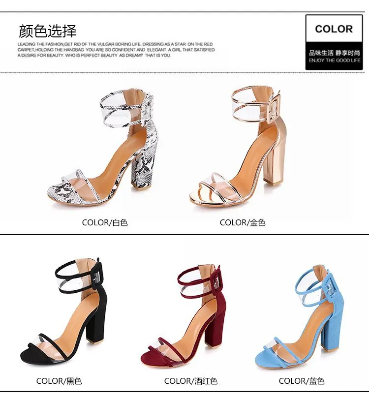 shoe (7)