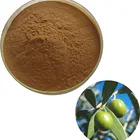 High quality Immune System Improving natural olive leaf extract 40% oleuropein Cleupin Oleu in bulk