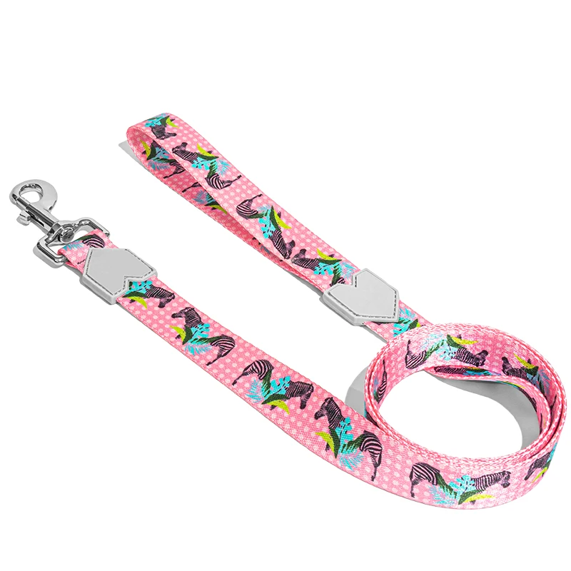 2020 Manufacturer Pet Accessory Personalizable Multicolor Own Label Orange Print Solid Colors Set Dog Leash Collar, Colorful or customized color
2020 Manufacturer Pet Accessory Personalizable Multicolor Own Label Orange Print Solid Colors Set Dog Leash Collar, Colorful or customized color