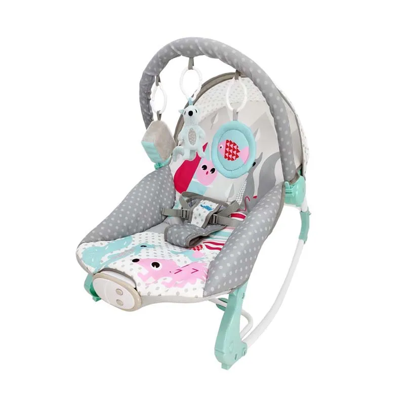 taggies baby bouncer