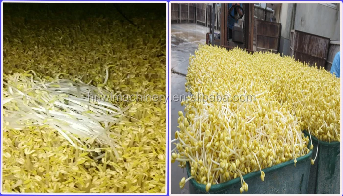 automatic bean sprouts making machine