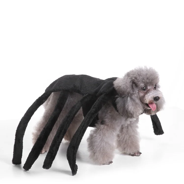Creative Funny Halloween Christmas Pet Cosplay Clothes Riding Cat Bat Shape Hoodies Pet Dog Cat Clothes, Picture
Creative Funny Halloween Christmas Pet Cosplay Clothes Riding Cat Bat Shape Hoodies Pet Dog Cat Clothes, Picture