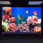 LED Screen P2.5 Indoor/Fixed Usage P2.5 LED Display/Indoor High Resolution P2.5 LED Display Module