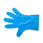 Gloves Glove Plastic Glove Medium Plastic Gloves Disposable Tpe Plastic Glove