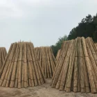 Hot!! Wholesale Dry Straight tonkin Bamboo Cane Bamboo Pole Bamboo stake Fumigation for support