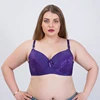 /product-detail/plus-size-bras-for-big-women-sexy-f-cup-bra-sexy-lace-underwear-fat-girl-lady-bra-62236848527.html