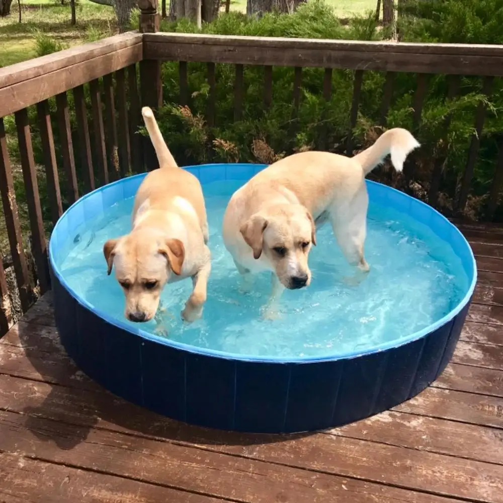 160cm Extra Large Portable Dog Pet Pool Plastic folding Pets Bath Tub, Blue, red or customized
160cm Extra Large Portable Dog Pet Pool Plastic folding Pets Bath Tub, Blue, red or customized