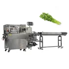 Vegetable Packing Machine with Automatic Length Measuring Device