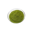 Drumstick Powder Powder Qinglan Natural Drumstick Leaf Extract Powder