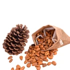 Pine Nuts Chinese Suppliers Pine Nuts Pecan Nuts Pine Kernels