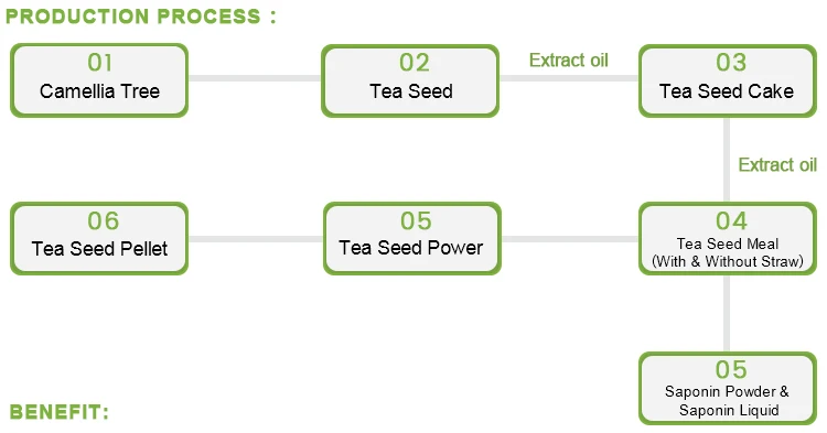 Tea-seed-meal (4)