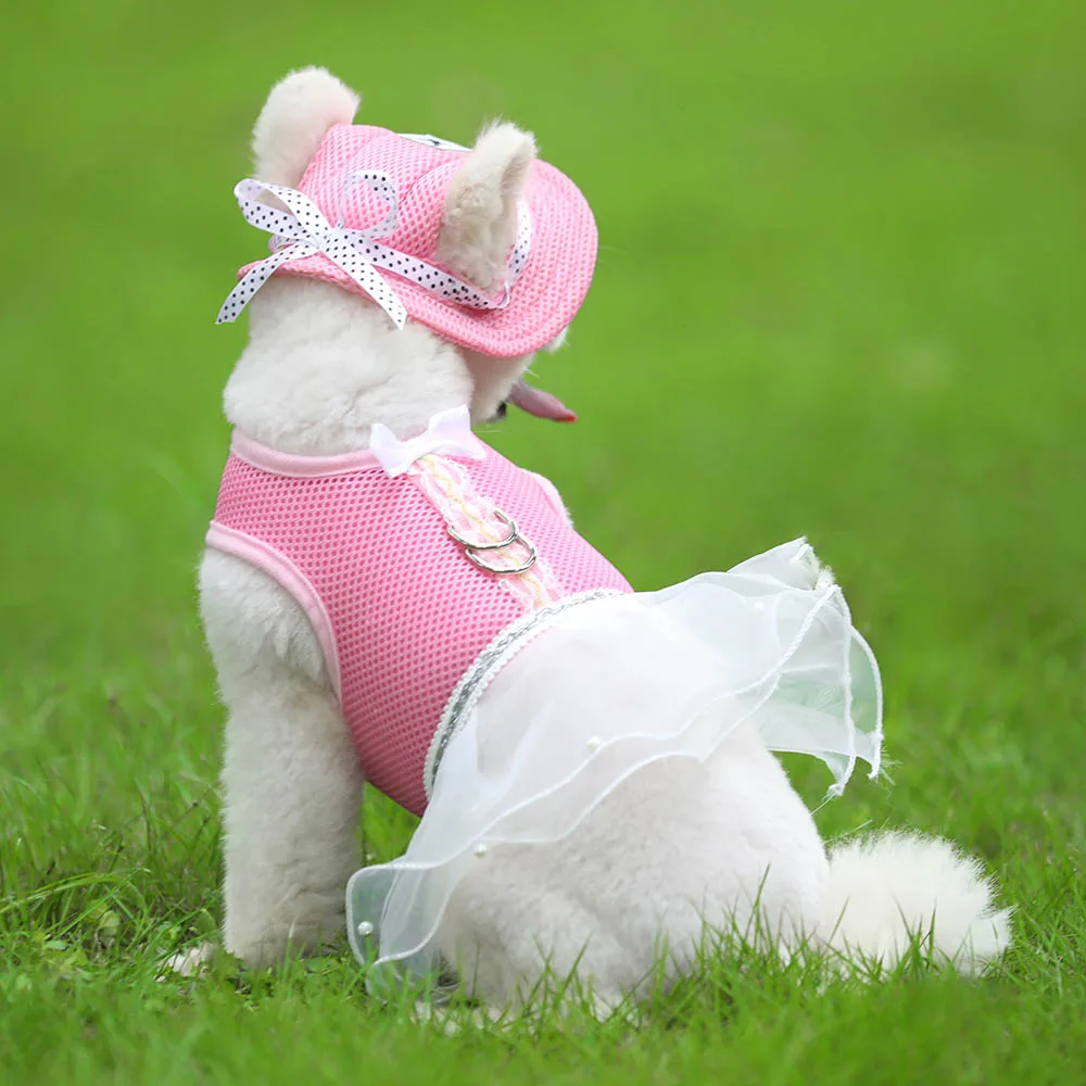 Pet Clothes Accessories Factory Luxury Dog Clothing