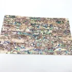 Shells Abalone Shell Natural Sea Shells Abalone Mother Of Pearl Sheets Decor Wall Paper