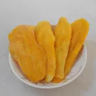 Low price import dried fruit soft dried mango
