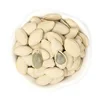 /product-detail/white-pumpkin-seed-1357783735.html
