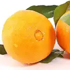 Delicious Fresh Big Sweet Navel Orange/Jelly orange