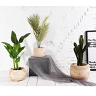 Plants Pot Customize Promotional Place Green Plants Paulownia Wood Washed Paulownia Desktop Wooden Pot