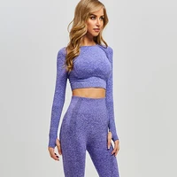 Newarrival Australia Custom Women Workout Gear Hot Sexy Gym Suit For Womens Seamless Yoga leggings Sets
Newarrival Australia Custom Women Workout Gear Hot Sexy Gym Suit For Womens Seamless Yoga leggings Sets