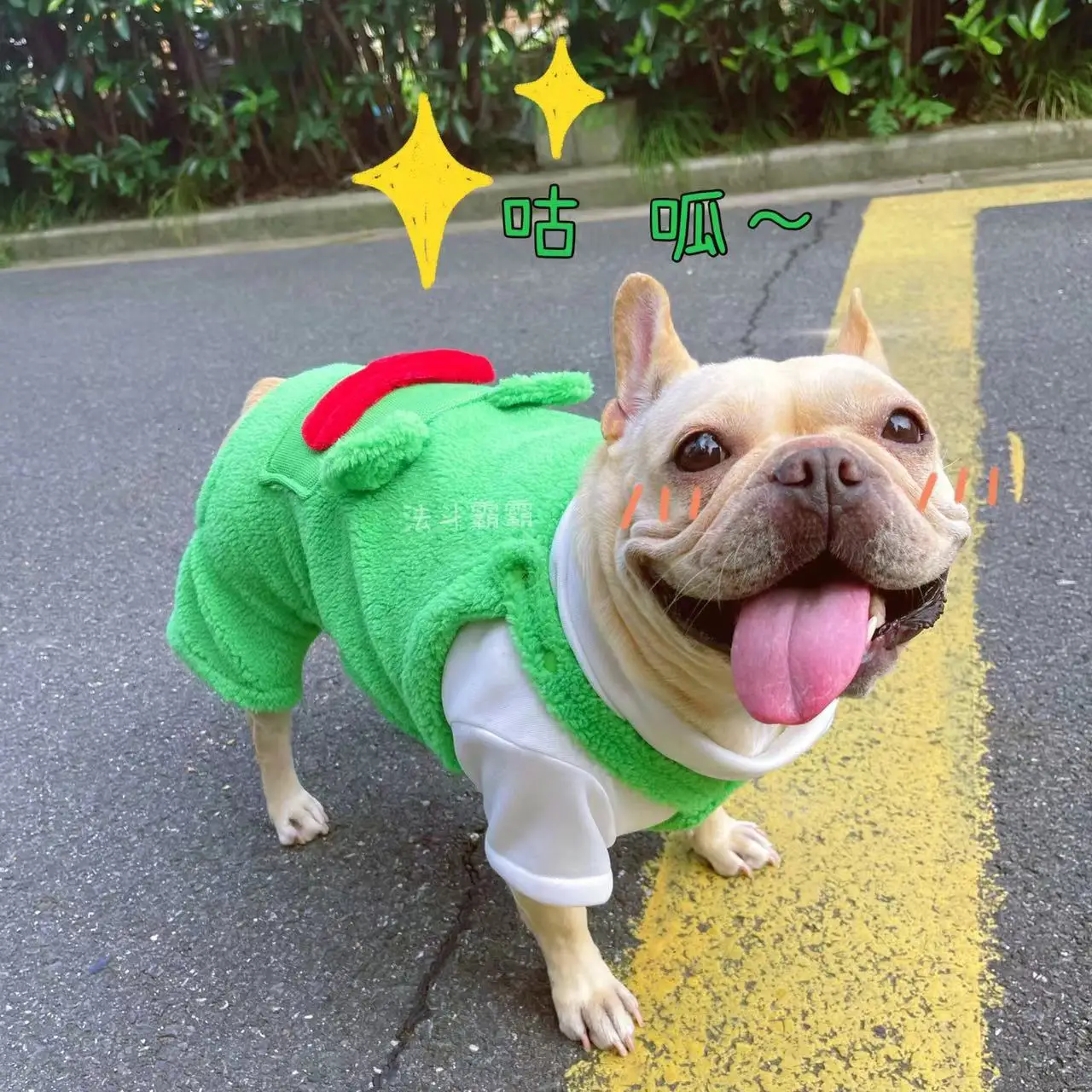 Autumn and winter thicken suspenders bulldog Four feet pants Pet coat pet apparel, Green
Autumn and winter thicken suspenders bulldog Four feet pants Pet coat pet apparel, Green