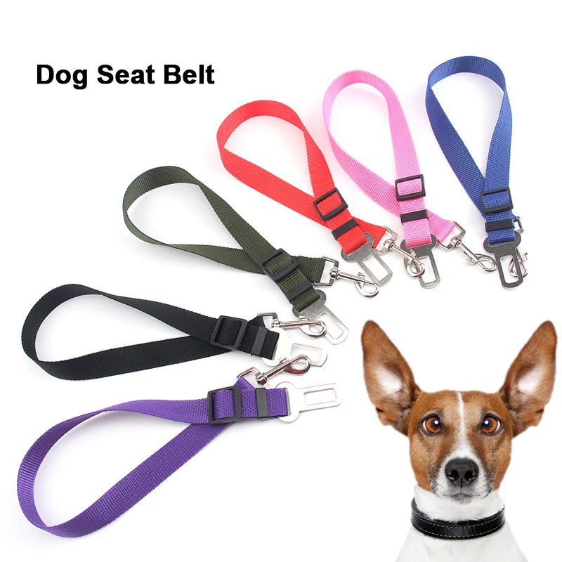 Manufacturer wholesale adjustable multi-colors nylon pet dog seat belt leash, Customized color
Manufacturer wholesale adjustable multi-colors nylon pet dog seat belt leash, Customized color