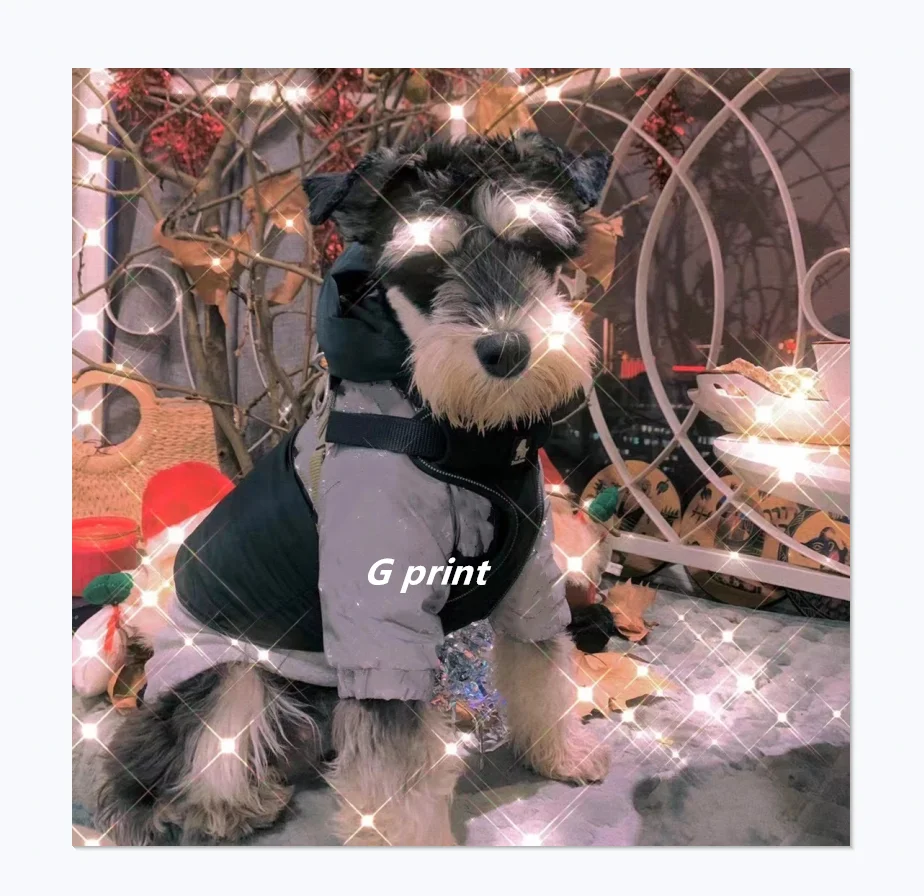Warm And Thick Classic Brand Design G Pet Winter Clothes Reflective Material Luxury Dog Cotton Coat
Warm And Thick Classic Brand Design G Pet Winter Clothes Reflective Material Luxury Dog Cotton Coat