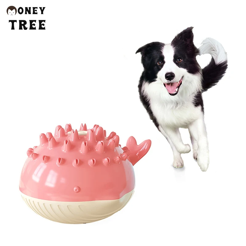 pet toys cooling and accessories organic dog Electric Water Teeth Grinding summer Floating, Green\blue\pink\yellow
pet toys cooling and accessories organic dog Electric Water Teeth Grinding summer Floating, Green\blue\pink\yellow
