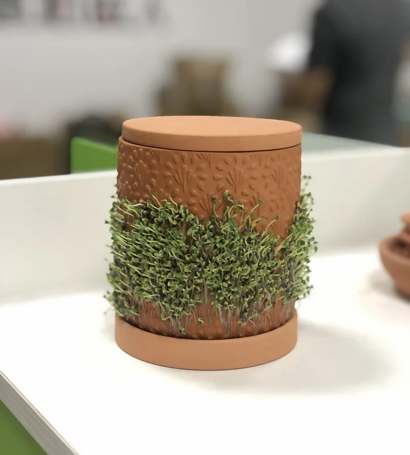 new arrival terracotta pot with self watering function planter
new arrival terracotta pot with self watering function planter